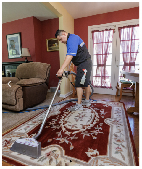Image depicting the Service Oriental Rug Cleaning